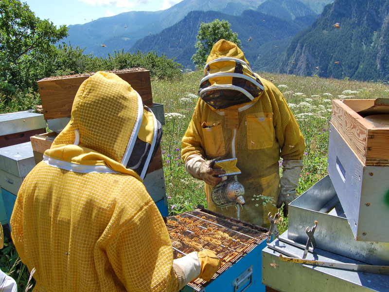 Rivarossa Apicoltura SSa