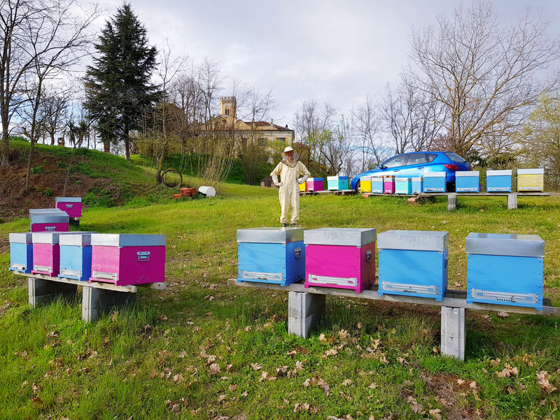 Azienda Agricola l'Avija