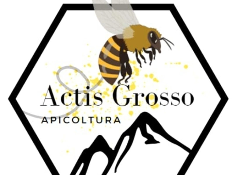 Apicoltura Alessandro Actis Grosso